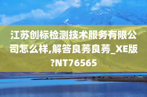 江苏创标检测技术服务有限公司怎么样,解答良莠良莠_XE版?NT76565