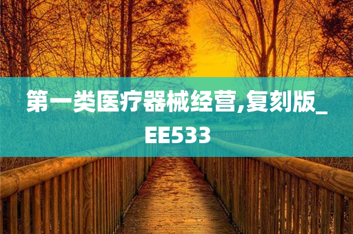 第一类医疗器械经营,复刻版_EE533