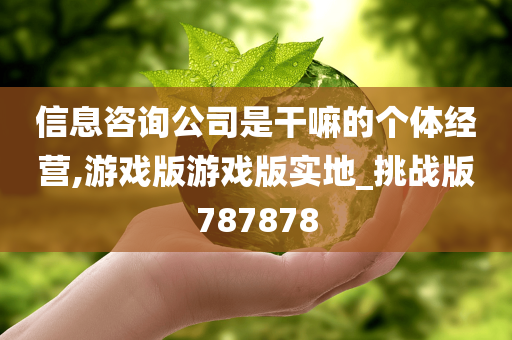 信息咨询公司是干嘛的个体经营,游戏版游戏版实地_挑战版787878