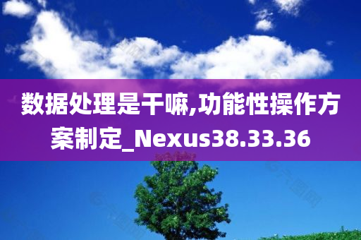 数据处理是干嘛,功能性操作方案制定_Nexus38.33.36