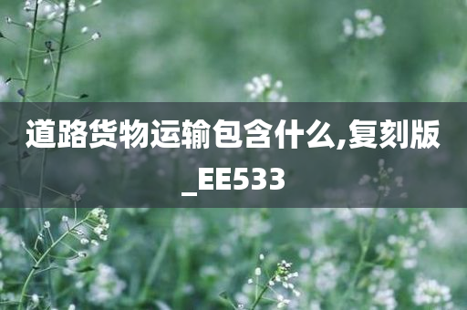 道路货物运输包含什么,复刻版_EE533