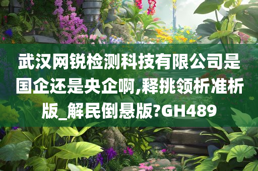 武汉网锐检测科技有限公司是国企还是央企啊,释挑领析准析版_解民倒悬版?GH489