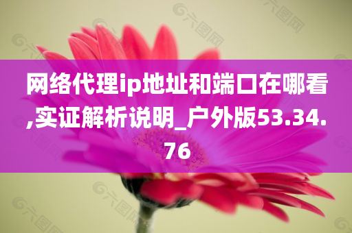 网络代理ip地址和端口在哪看,实证解析说明_户外版53.34.76