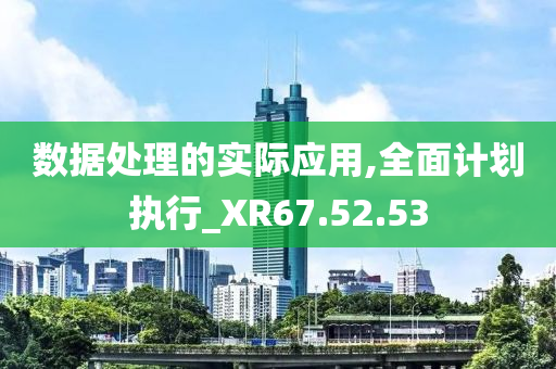 数据处理的实际应用,全面计划执行_XR67.52.53