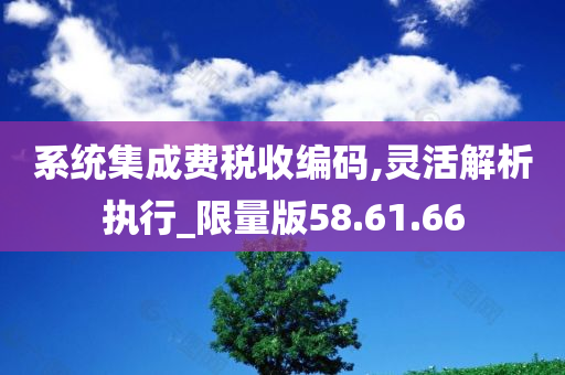 系统集成费税收编码,灵活解析执行_限量版58.61.66