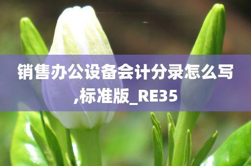 销售办公设备会计分录怎么写,标准版_RE35