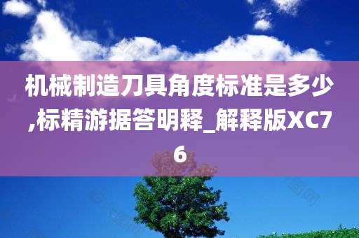 机械制造刀具角度标准是多少,标精游据答明释_解释版XC76