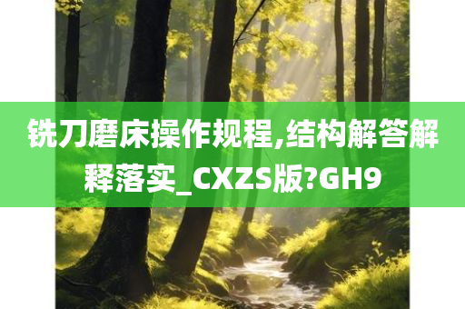 铣刀磨床操作规程,结构解答解释落实_CXZS版?GH9