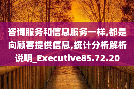 咨询服务和信息服务一样,都是向顾客提供信息,统计分析解析说明_Executive85.72.20