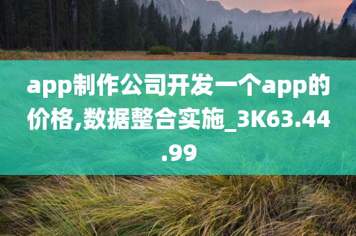 app制作公司开发一个app的价格,数据整合实施_3K63.44.99