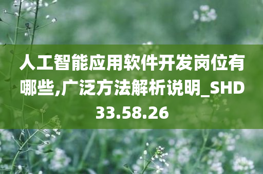 人工智能应用软件开发岗位有哪些,广泛方法解析说明_SHD33.58.26