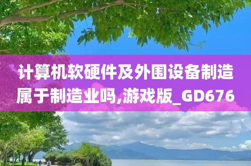 计算机软硬件及外围设备制造属于制造业吗,游戏版_GD676