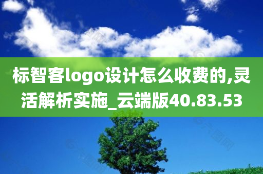 标智客logo设计怎么收费的,灵活解析实施_云端版40.83.53