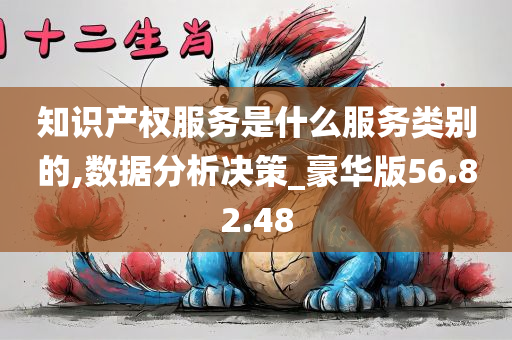 知识产权服务是什么服务类别的,数据分析决策_豪华版56.82.48