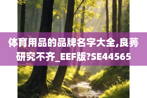 体育用品的品牌名字大全,良莠研究不齐_EEF版?SE44565