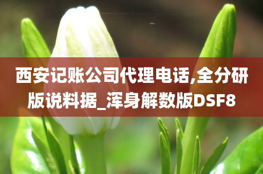 西安记账公司代理电话,全分研版说料据_浑身解数版DSF8