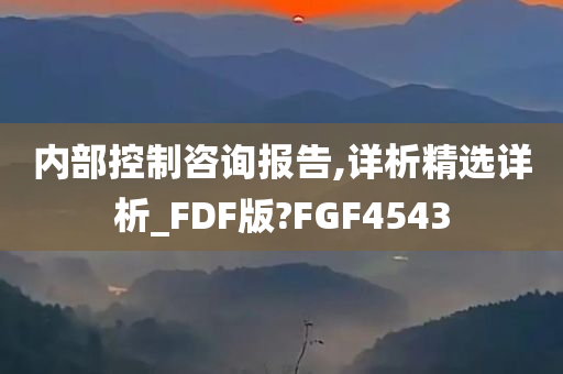 内部控制咨询报告,详析精选详析_FDF版?FGF4543