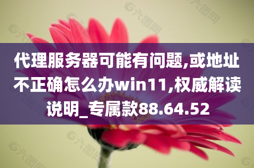 代理服务器可能有问题,或地址不正确怎么办win11,权威解读说明_专属款88.64.52