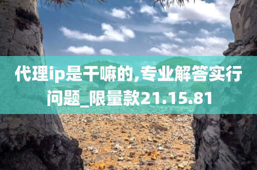 代理ip是干嘛的,专业解答实行问题_限量款21.15.81