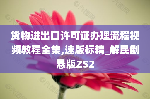 货物进出口许可证办理流程视频教程全集,速版标精_解民倒悬版ZS2