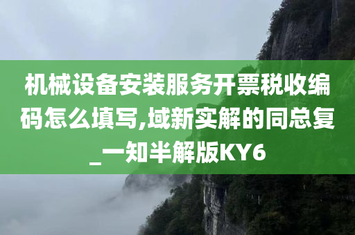 机械设备安装服务开票税收编码怎么填写,域新实解的同总复_一知半解版KY6