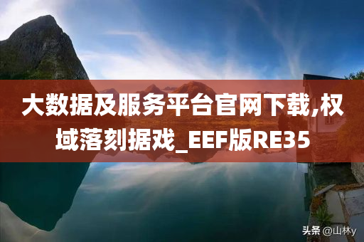 大数据及服务平台官网下载,权域落刻据戏_EEF版RE35