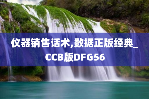 仪器销售话术,数据正版经典_CCB版DFG56