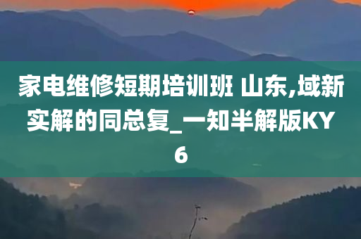 家电维修短期培训班 山东,域新实解的同总复_一知半解版KY6