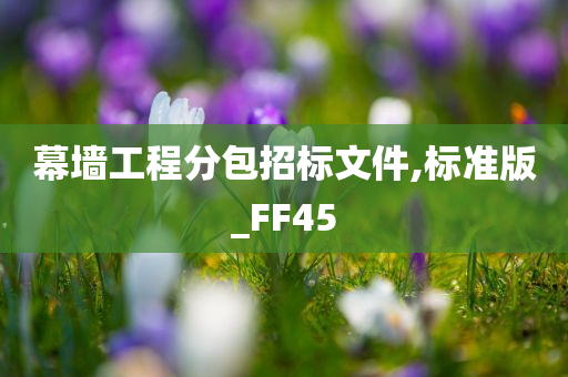 幕墙工程分包招标文件,标准版_FF45