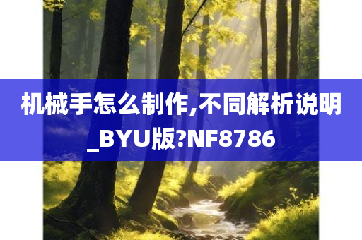 机械手怎么制作,不同解析说明_BYU版?NF8786