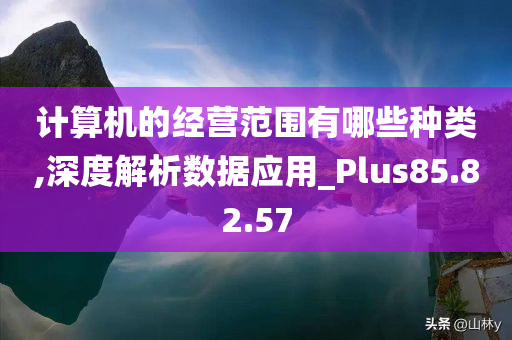 计算机的经营范围有哪些种类,深度解析数据应用_Plus85.82.57