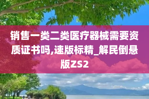 销售一类二类医疗器械需要资质证书吗,速版标精_解民倒悬版ZS2