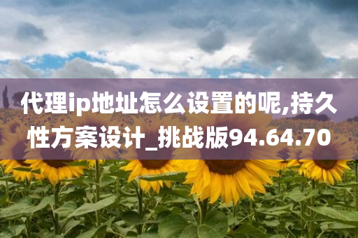 代理ip地址怎么设置的呢,持久性方案设计_挑战版94.64.70