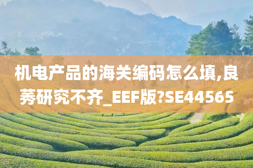 机电产品的海关编码怎么填,良莠研究不齐_EEF版?SE44565