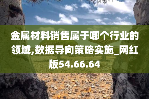 金属材料销售属于哪个行业的领域,数据导向策略实施_网红版54.66.64