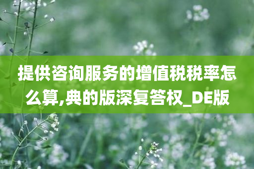 提供咨询服务的增值税税率怎么算,典的版深复答权_DE版