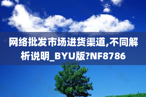 网络批发市场进货渠道,不同解析说明_BYU版?NF8786