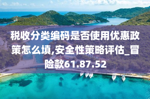 税收分类编码是否使用优惠政策怎么填,安全性策略评估_冒险款61.87.52