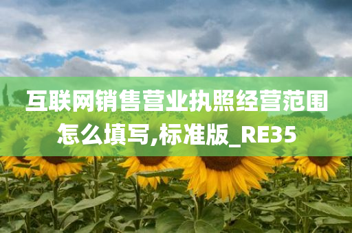 互联网销售营业执照经营范围怎么填写,标准版_RE35