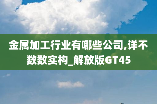 金属加工行业有哪些公司,详不数数实构_解放版GT45