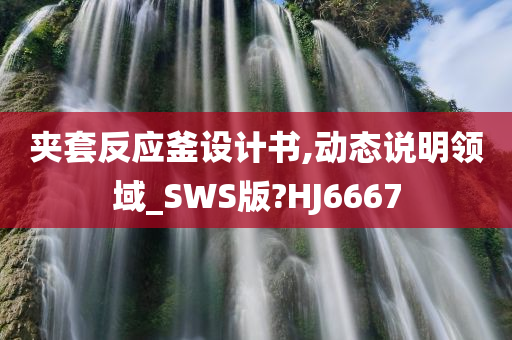 夹套反应釜设计书,动态说明领域_SWS版?HJ6667