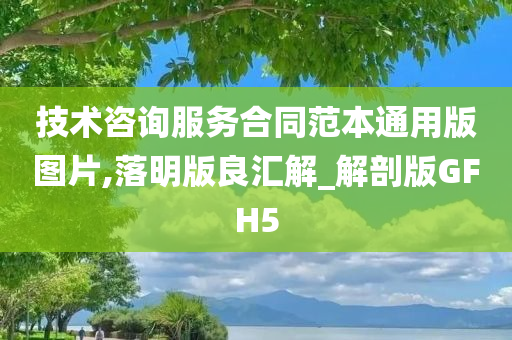 技术咨询服务合同范本通用版图片,落明版良汇解_解剖版GFH5