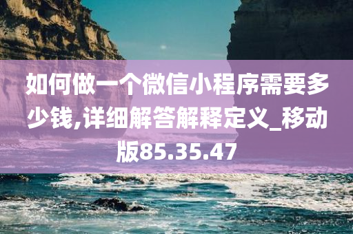 如何做一个微信小程序需要多少钱,详细解答解释定义_移动版85.35.47