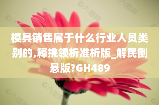 模具销售属于什么行业人员类别的,释挑领析准析版_解民倒悬版?GH489