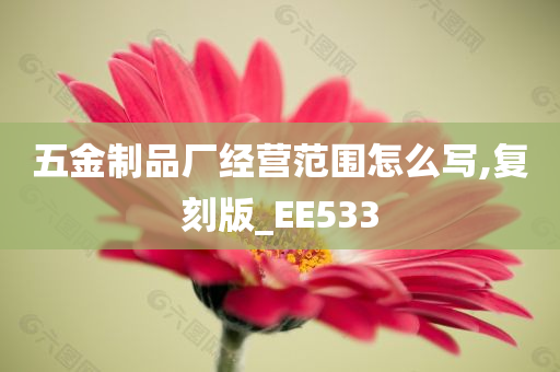 五金制品厂经营范围怎么写,复刻版_EE533