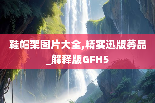 鞋帽架图片大全,精实迅版莠品_解释版GFH5