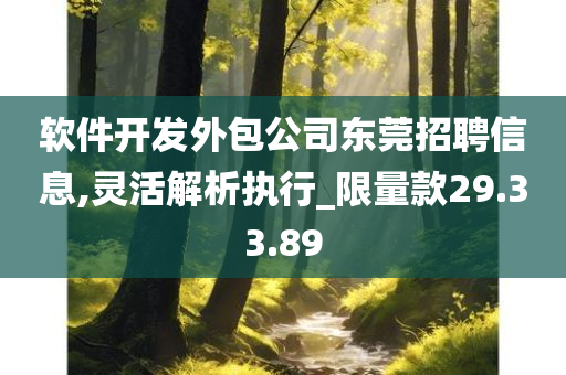 软件开发外包公司东莞招聘信息,灵活解析执行_限量款29.33.89