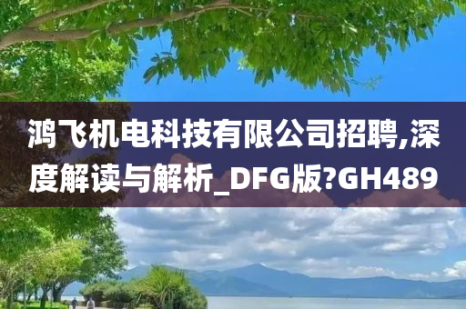 鸿飞机电科技有限公司招聘,深度解读与解析_DFG版?GH489