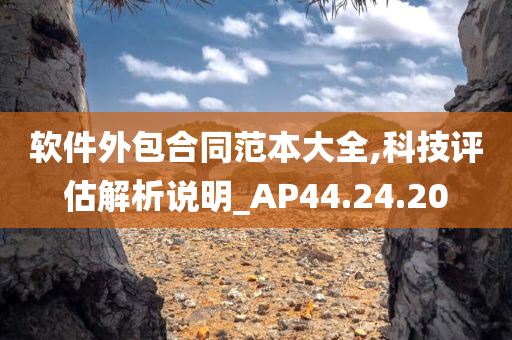 软件外包合同范本大全,科技评估解析说明_AP44.24.20