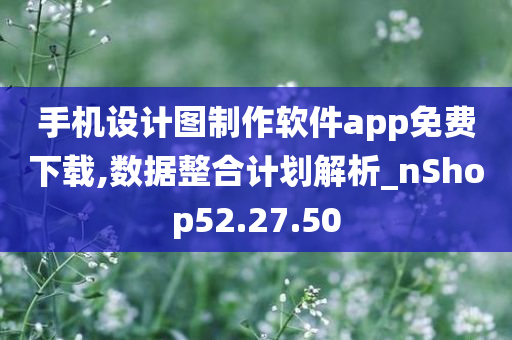 手机设计图制作软件app免费下载,数据整合计划解析_nShop52.27.50